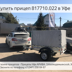 Легковой прицеп МЗСА 817710. NEW - обзор