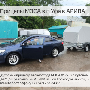 Прицеп для снегохода МЗСА 817732 внутри. 